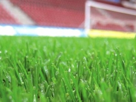 Grass