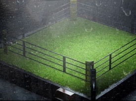 Grass