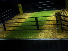 Grass