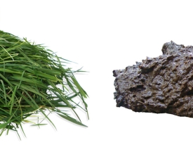 Header_NutriFibre