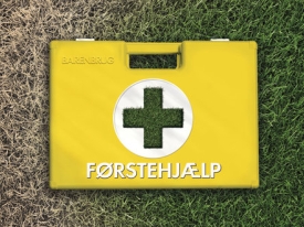 Visual_link_FirstAid-DK-græs