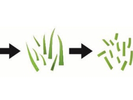 billede-mulch-illustration.jpg