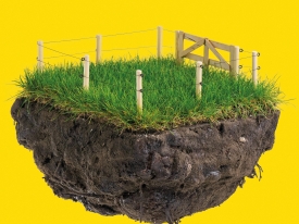 Indhegnet eng
