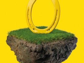 Groene paardenweiden