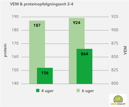 Slå græsset oftere for mere protein