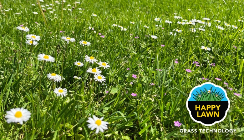 Grass