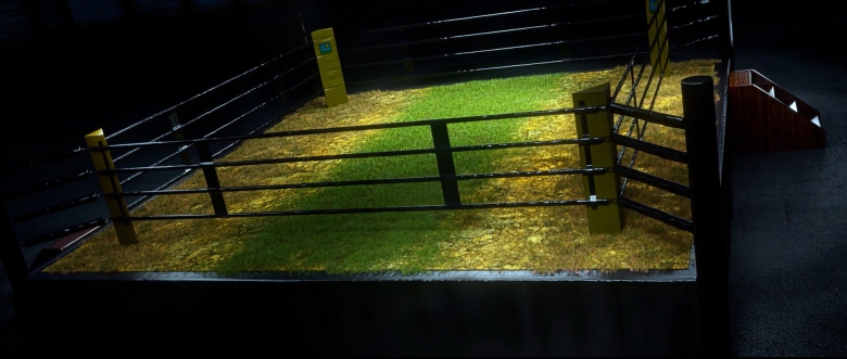 Grass