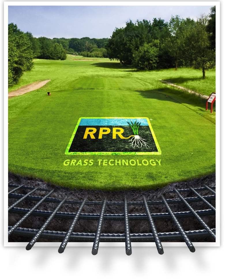 Grass