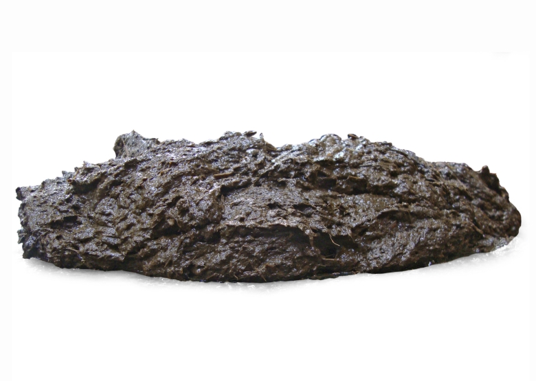 poop