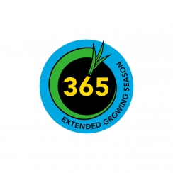 365 Logo