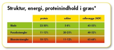 struktur-energi-protein