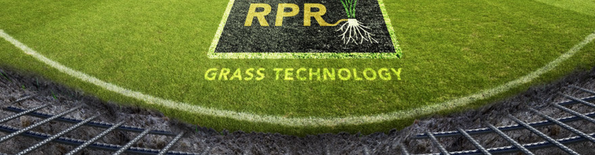 Grass