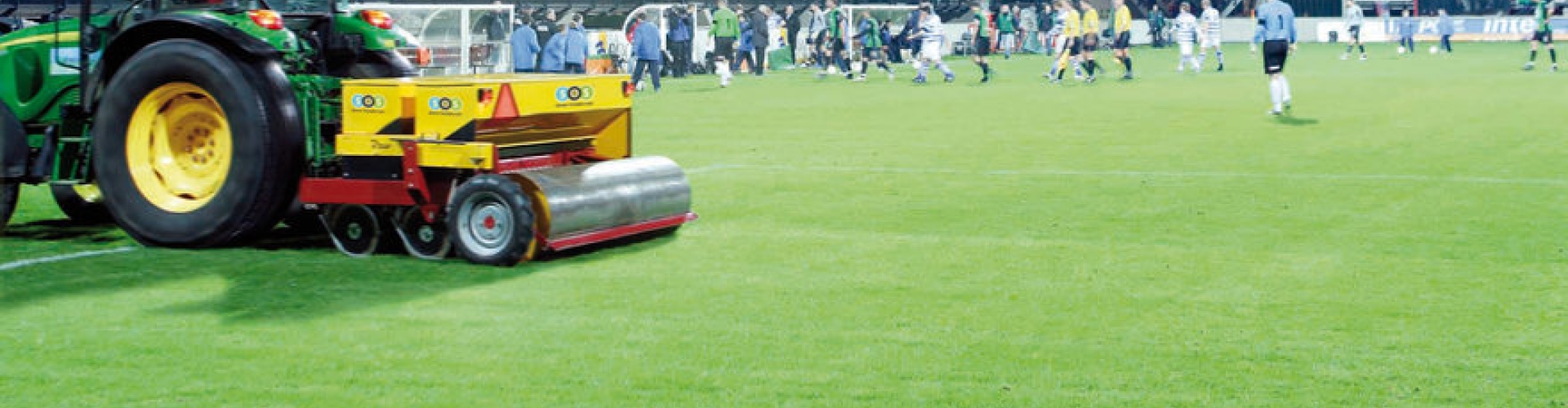 Grass