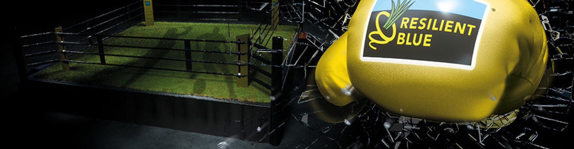 boxing ring
