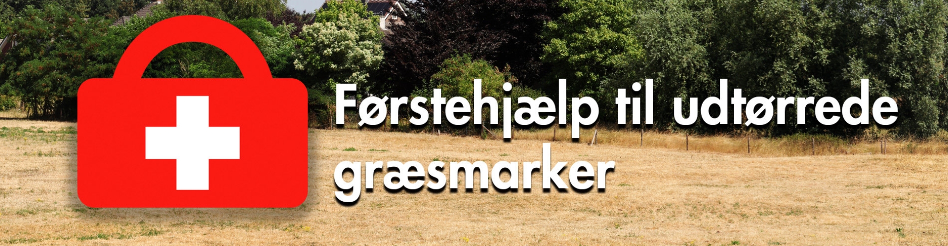 Header EHBO - tørre - græsarealer