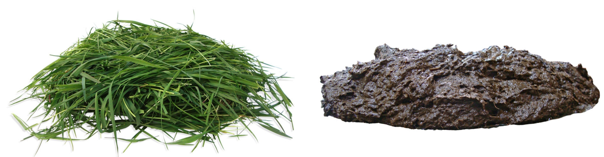 Header_NutriFibre