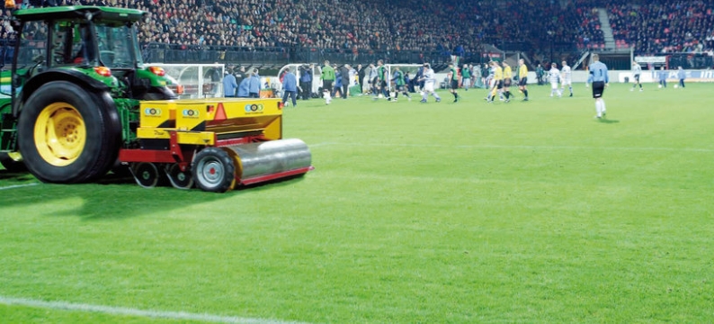 Grass