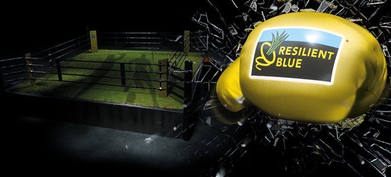 boxing ring