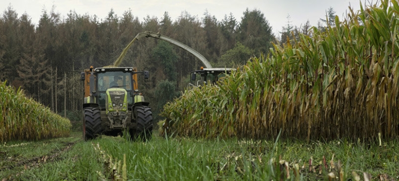 Tractor 