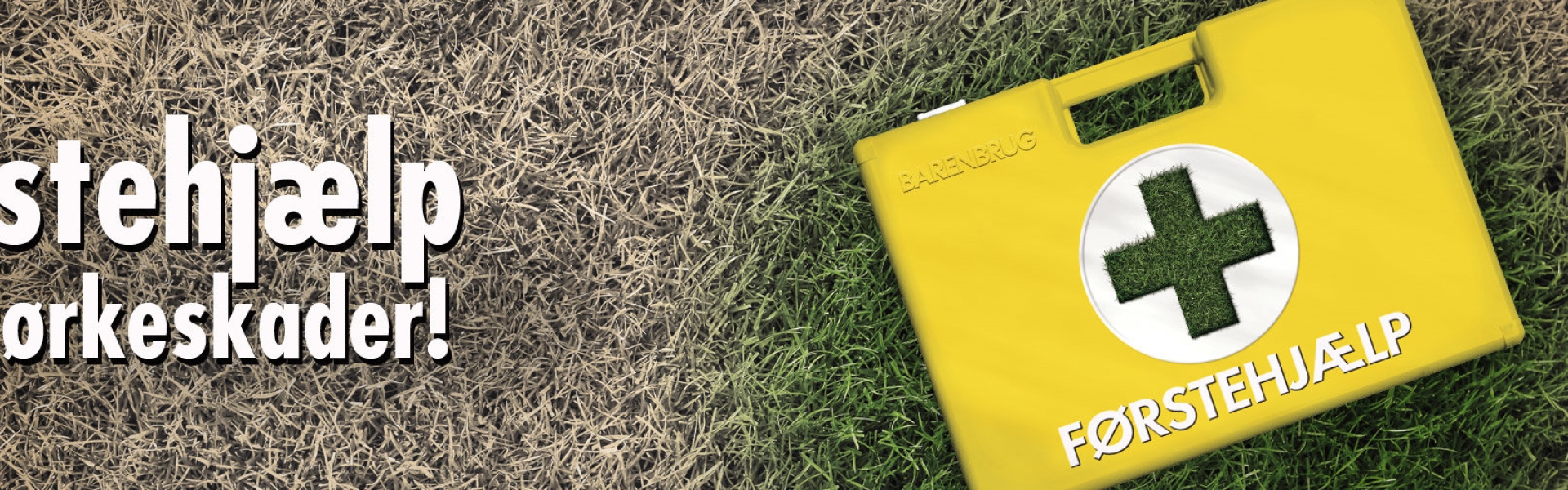 Grass